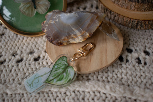 Marble Queen Pothos Propegation Keychain