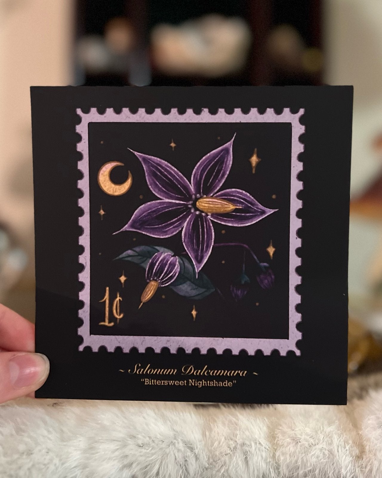 Bittersweet Nightshade Print
