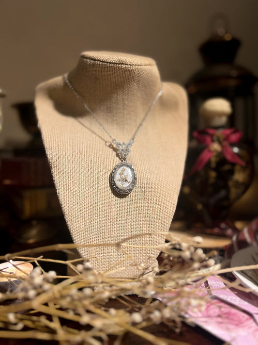 The Admirers Locket Necklace