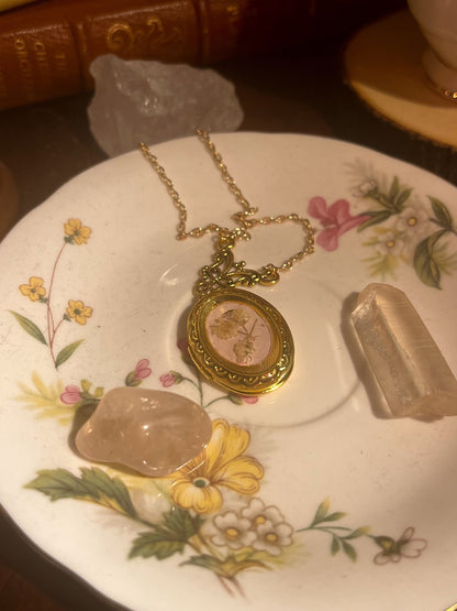 The Admirers Locket Necklace