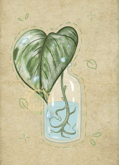 Marble Queen Pothos Propegation Keychain